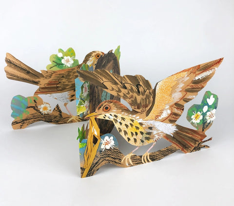 Concertina Karte "Nest" / Mark Hearld