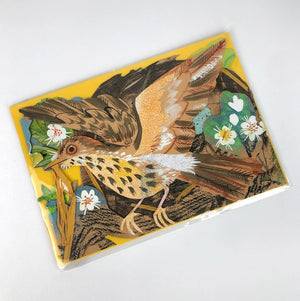 Concertina Karte "Nest" / Mark Hearld