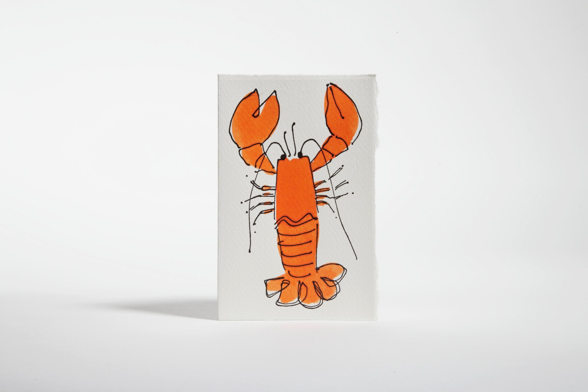 Klappkarte "Lobster" / Scribble & Daub